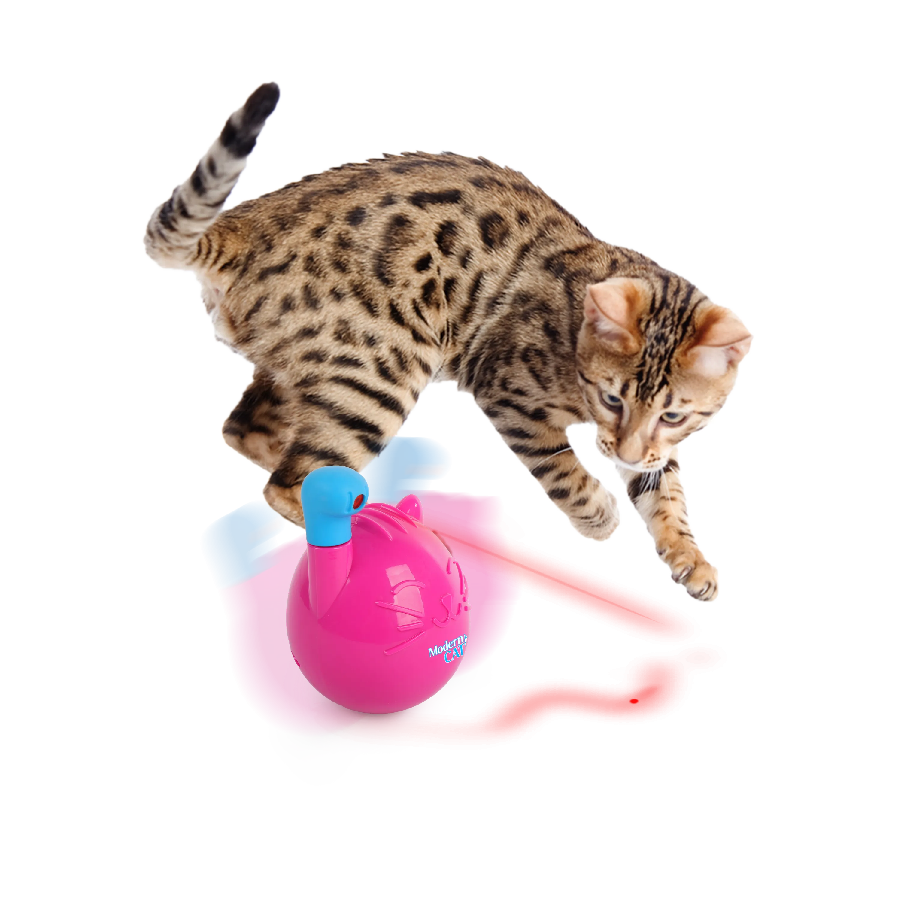 AFP Mordern Cat Wobble Laser Toy